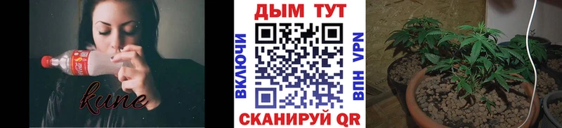 Купить закладку ГАШИШ  Бошки Шишки  A PVP  МЕФ  Чистополь