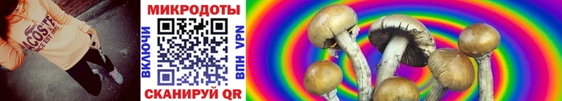 Купить  Чистополь  Псилоцибиновые грибы MAGIC MUSHROOMS 